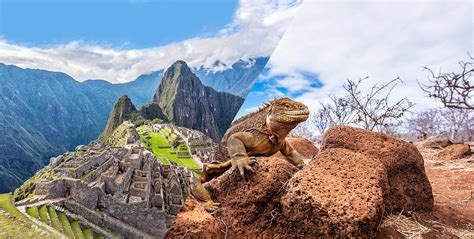 best tours to galapagos and machu picchu